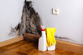 Mold Documentation for Insurance Claims in Rialto, CA